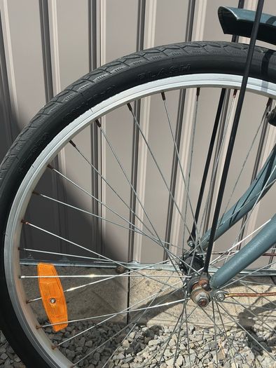 Adult Cleia Bike