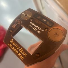 Odyssey ai-one giraffe beam jailbird mini