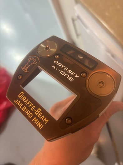 Odyssey ai-one giraffe beam jailbird mini