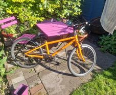 Frog Bike 62