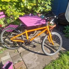 Frog Bike 62