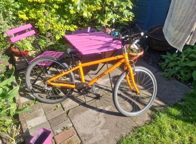 Frog Bike 62
