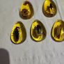 Insects in amber lucite 10 each Image 2