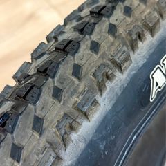 Maxxis Ardent Race