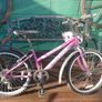 Bike Image 6