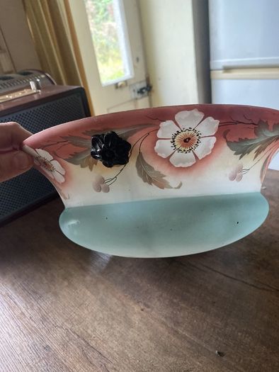 Antique vintage light shade fly catch