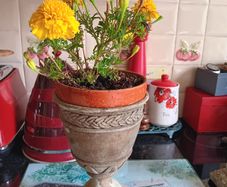 Two urn pots