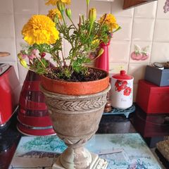 Two urn pots