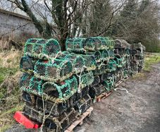 Crab Lobster Pots x 146