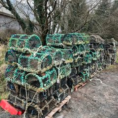 Crab Lobster Pots x 146