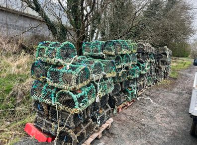 Crab Lobster Pots x 146