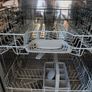 Dishwasher Image 4
