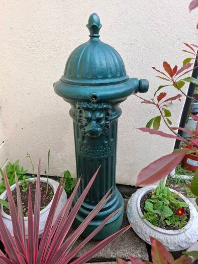 garden