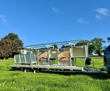 Sheep shearing and tub dipping for hire