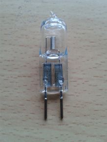 Hunting Lamp Bulb (100 Watt 12v)