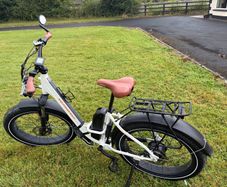 Rad power Ebike rhino step thru