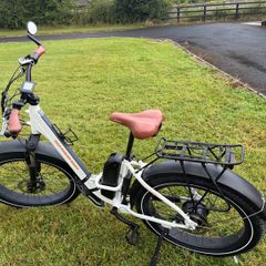 Rad power Ebike rhino step thru