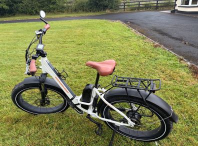 Rad power Ebike rhino step thru