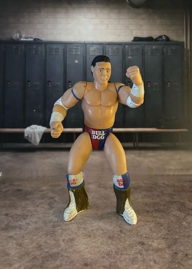 Jakks WWF Wrestling figures WWE ECW BCA