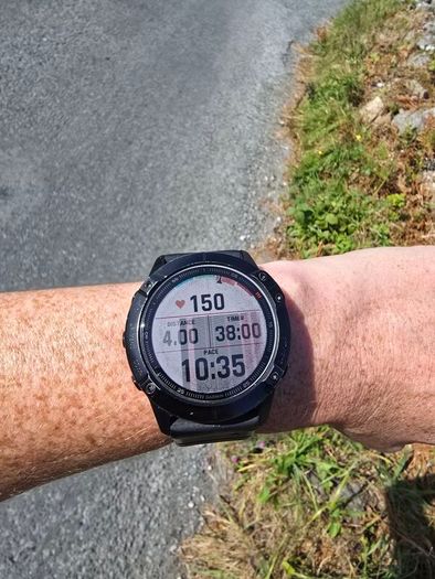 Garmin Fenix 6X Pro