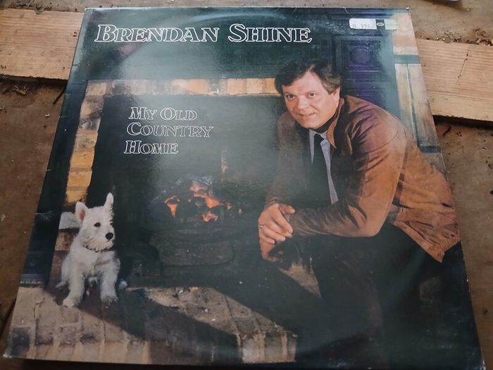 brendan shine