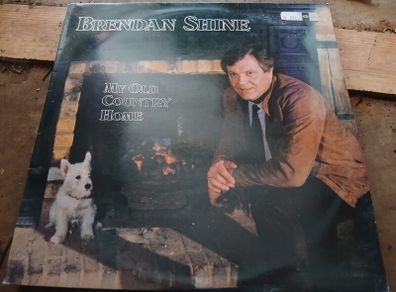 brendan shine