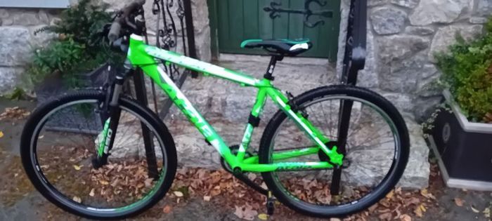 Mountain Bike Bargin