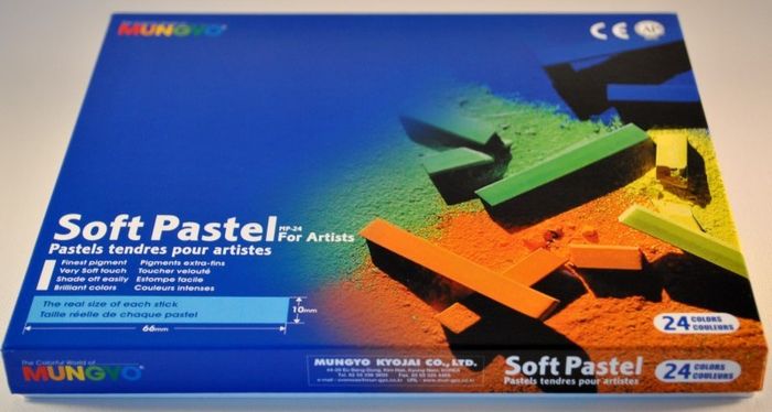 Mungyo Artist's Soft Pastels (24 Multicolour)