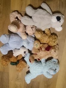 Soft toys, Teddys