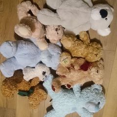 Soft toys, Teddys