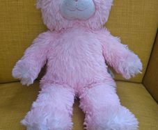 Build a Bear Teddies