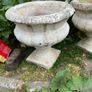 plant pots Image 2