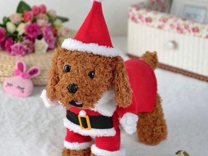 Cat Christmas Outfit, Christmas Pet Clothes Dog Cat Christmas Costume Santa Claus Pet Hoodie Coat for Small Medium Dogs Cats (M Size)