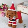 Cat Christmas Outfit, Christmas Pet Clothes Dog Cat Christmas Costume Santa Claus Pet Hoodie Coat for Small Medium Dogs Cats (M Size) Image 6