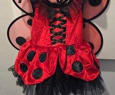 Halloween Costume