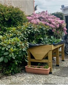 Large veg trug