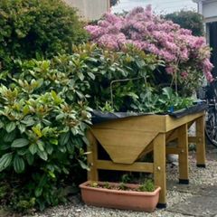 Large veg trug