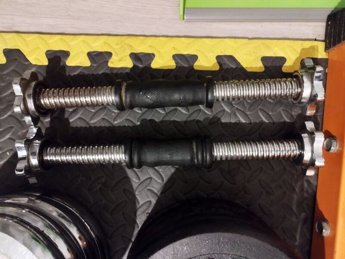 set of  standards weights