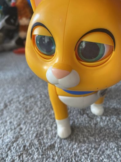 Sox interactive toy