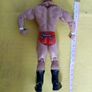 Mr Kennedy WWE Wrestlers Wrestler action Figure Image 6