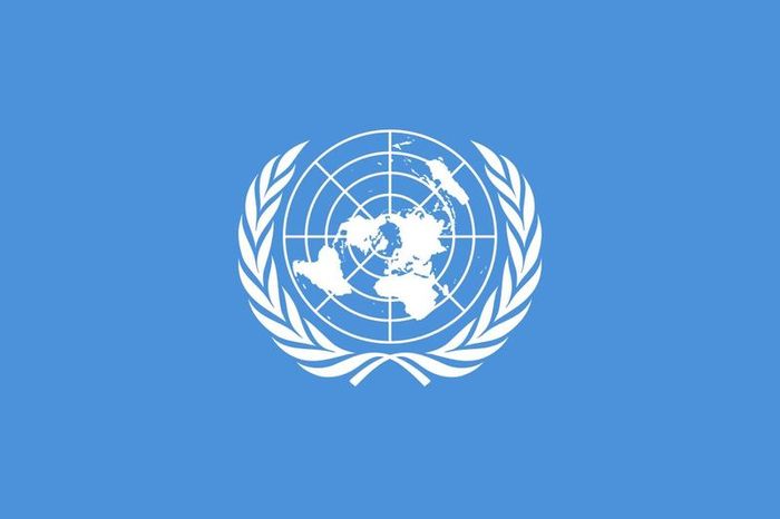 United Nations Flag 3'x 5'