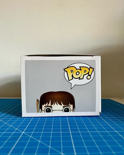 Harry Potter in Quidditch Robes #08 - Harry Potter - Movies - Funko Pop