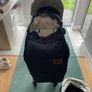 buggy Image 6