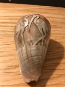 1900's Hand Carved Storks on Sea Shell