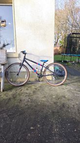 Raleigh  Pop   26"  Bike