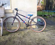 Raleigh  Pop   26"  Bike