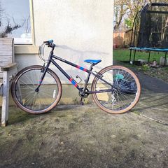 Raleigh  Pop   26"  Bike