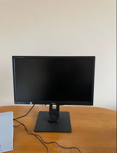 21.5" iiyama prolite Monitor