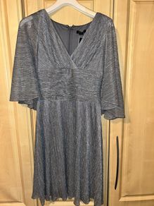 SLNY New York Silver Sparkly Dress Brand New With Tags