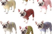 Dog Clothes, Dog Colorful Stripe Pajamas Soft Cotton Jumpsuit Bulldog Onesies Costume for Puppy Small Medium Dogs